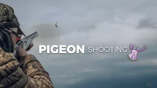 PIGEON SHOOTING