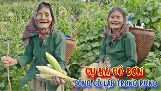 CỤ BÀ đi lang thang, hái bắp, đào khoai ăn, sống tự lập trong RỪNG - tập 896