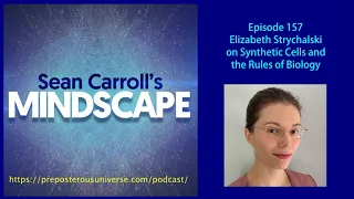 Mindscape 157 | Elizabeth Strychalski on Synthetic Cells and the Rules of Biology