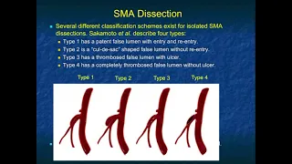 CT of the Aorta & Its Branches: Acute Processes - Part 2