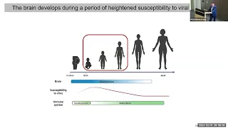 Early-Life Viral Infection in Mice Leads to Long-Lasting Changes in Sensory Processing