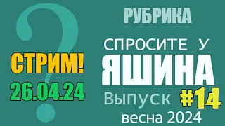 СТРИМ: Спросите у Яшина. Выпуск #14. ВЕСНА