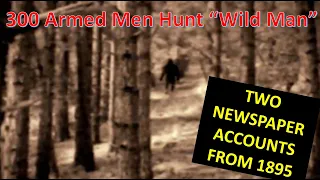 Two accounts from 1895: 300 Armed Men Hunt "Wild Man"