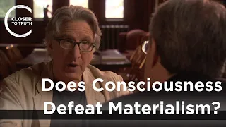 Ned Block - Does Consciousness Defeat Materialism?