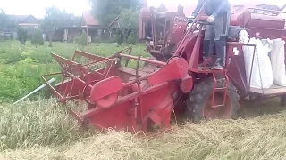 Ködel & Böhm Combi 1961 - Combine Harvester (2019harvest)