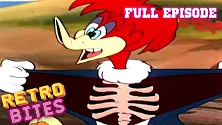 Fair Weather Fiends | Woody Woodpecker | Full Episode | Old Cartoons | Retro Bites
