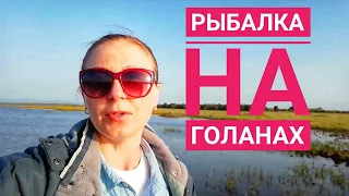 РЫБАЛКА НА ГОЛАНАХ. РЫБАЛКА В ИЗРАИЛЕ. апрель 2019