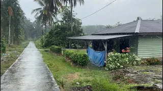 Walking In Super Heavy Rain in My Village, Fell Asleep Instantly With the Sound of Heavy Rain | ASMR