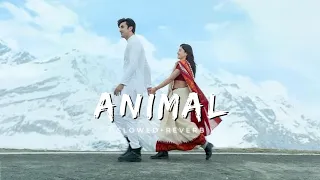 Feel The Animal Heartbreak Mashup (Slowed   Reverb) Sari Duniya Jala Denge | Arun music | #lofi