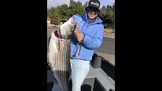 BIGGEST STRIPER I Got This YEAR!! Striped Bass Trolling (Castaic Lake)