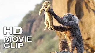 Круг Жизни Сцена Песни - КОРОЛЬ ЛЕВ (2019) Фрагмент из Фильма, The Walt Disney