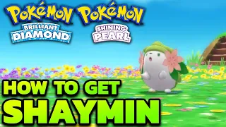 [EVENT OVER] How to Get Shaymin in Pokémon Brilliant Diamond & Shining Pearl