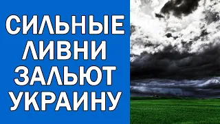 ПОГОДА НА 2 ИЮНЯ : ПОГОДА НА ЗАВТРА