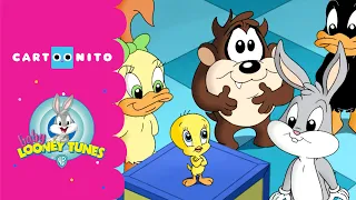 Baby Looney Tunes | Visiting the Ice Factory | Cartoonito