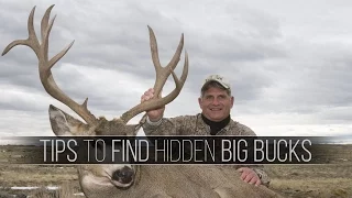 Hunting Big Sagebrush Mule Deer, Trophy Buck Hunts