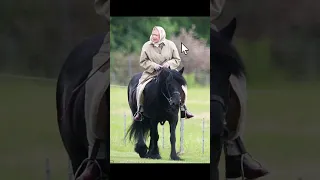 Emma the pony at the Queen's funeral. #shorts #royal #Queen