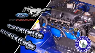 Ford Mustang GT Hot Rod Cams, Intake and Throttle Body Install & Road Test