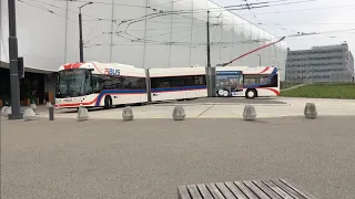 VBL Buses & Trolleybuses in Lucerne, Switzerland 2020