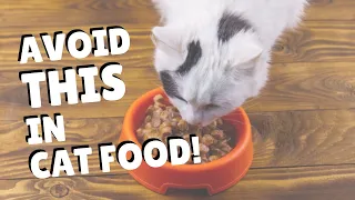 A Known Carcinogen In Cat Food | Two Crazy Cat Ladies #shorts