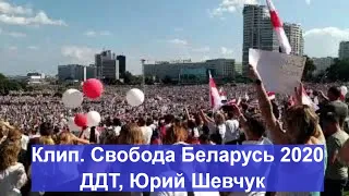 Свобода   Беларусь 2020   ДДТ, Юрий Шевчук
