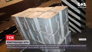 Ікра на мільйони: співробітники СБУ та прикордонники затримали "Газель" з контрабандою