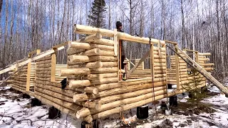 Building A Big Log Cabin Alone In The Woods: Notching Heavy Logs Around Windows