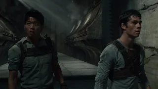 The Maze Runner - Thomas and Minho maze scene