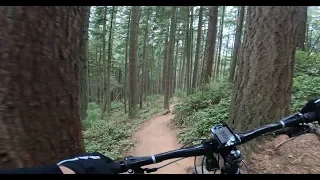 Double Black Diamond Trail - Chuckanut Mountain - Bellingham, WA