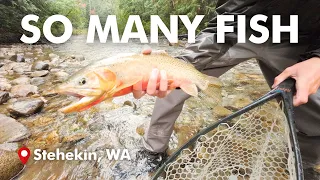 MASSIVE FISH…..TINY CREEK!!! (INSANE) | Stehekin Fishing Adventures