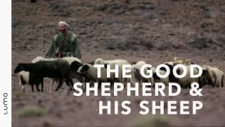 The Good Shepherd & His Sheep – LUMO