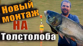 Секреты монтажа на ТОЛСТОЛОБА🐟🐟🐟.    Вываживание крупной рыбы 🎣 ловля трофея на аматорскую снасть.