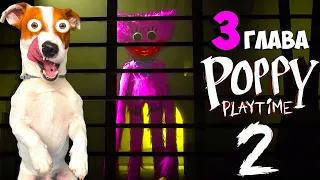 Поппи Плейтайм 2 🔴Прохождение Хагги Вагги (Часть 3) 🔴 Poppy Play Time Chapter 2