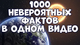 1000 INCREDIBLE FACTS IN ONE VIDEO