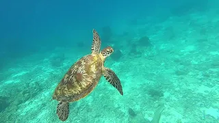 2024 | Isole Similan - Thailandia