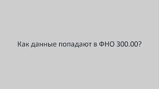 Про заполнение ФНО 300.00