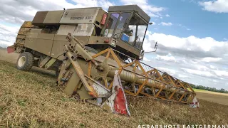 Fortschritt E 516 B Mähdrescher & ZT 323 mit HW 80 bei der Weizen & Erbsen Ernte