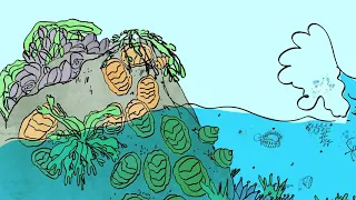 Intertidal Zone Animation