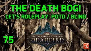 Let's Roleplay Pillars of Eternity 2: Deadfire, Deadly Explorations, Path of the Damned #75