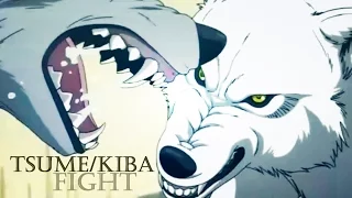 Wolfs Rain - Tsume and Kiba fight