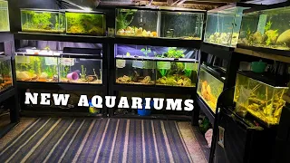 NEW AQUARIUM + NEW FISH IN THE FISH ROOM!