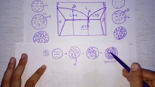 Lecture 17 Microstructures on eutectic and eutectoid phase diagram