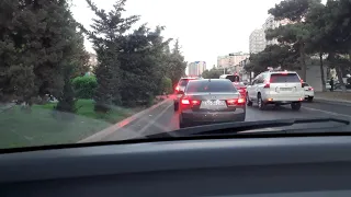 Yol qırağındakı "hamilə" ağaclardan və kollardan özünüzü qoruyun!