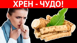 КОРЕНЬ ВОЗРОЖДЕНИЯ! Всего один кусочек ХРЕНА и организм как Новый. Врачи шокированы!