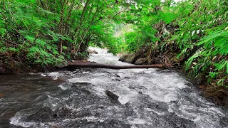 Sleep Instantly with Rushing river sounds, Soothing water stream sounds, Babbling brook nature sound