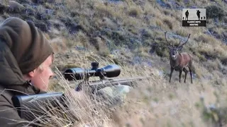 FURIOUS DEER wants a fight! Hard hunt pays off!