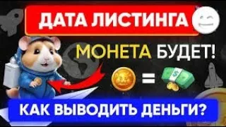 Hamster Kombat, ЗА ЧТО ДАДУТ ДЕНЬГИ?