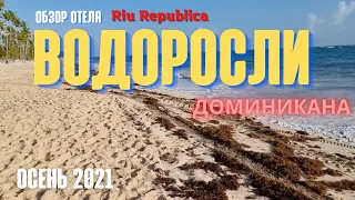 Жесть! ВОДОРОСЛИ в Доминикане! Новый день от рассвета до заката в Riu Republica Пунта-Кана обзор