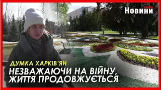 Висадка квітів у Харкові: чи потрібно цієї весни створювати клумби? Думка містян