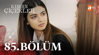 Kırgın Çiçekler 85. Bölüm - atv