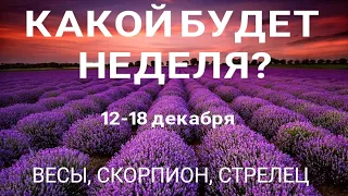 ВЕСЫ, СКОРПИОН, СТРЕЛЕЦ. Прогноз на неделю (12-18 декабря). Расклад от ТАТЬЯНЫ КЛЕВЕР. Клевер таро.